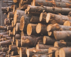 Tendências do uso da madeira na construção civil (Estado de S.Paulo)